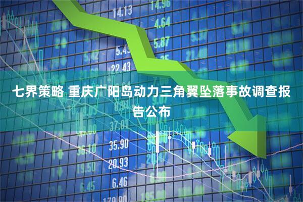 七界策略 重庆广阳岛动力三角翼坠落事故调查报告公布