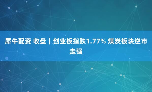 犀牛配资 收盘｜创业板指跌1.77% 煤炭板块逆市走强