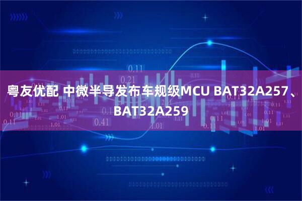 粤友优配 中微半导发布车规级MCU BAT32A257、BAT32A259